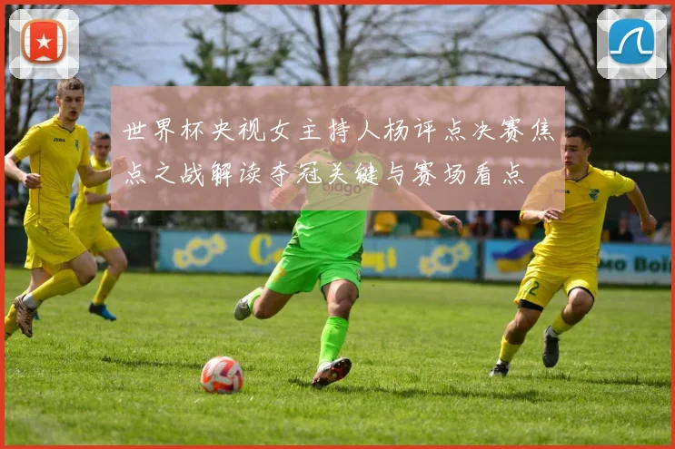 世界杯央视女主持人杨评点决赛焦点之战解读夺冠关键与赛场看点