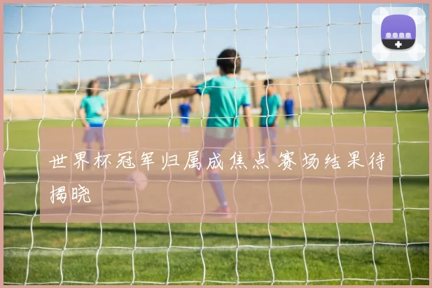 世界杯冠军归属成焦点 赛场结果待揭晓