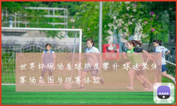 世界杯现场看球热度攀升 球迷聚焦赛场氛围与观赛体验