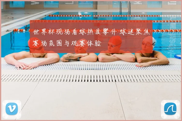 世界杯现场看球热度攀升 球迷聚焦赛场氛围与观赛体验
