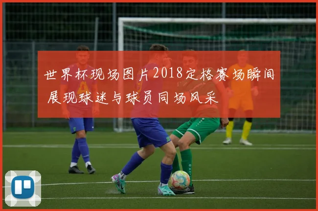 世界杯现场图片2018定格赛场瞬间 展现球迷与球员同场风采